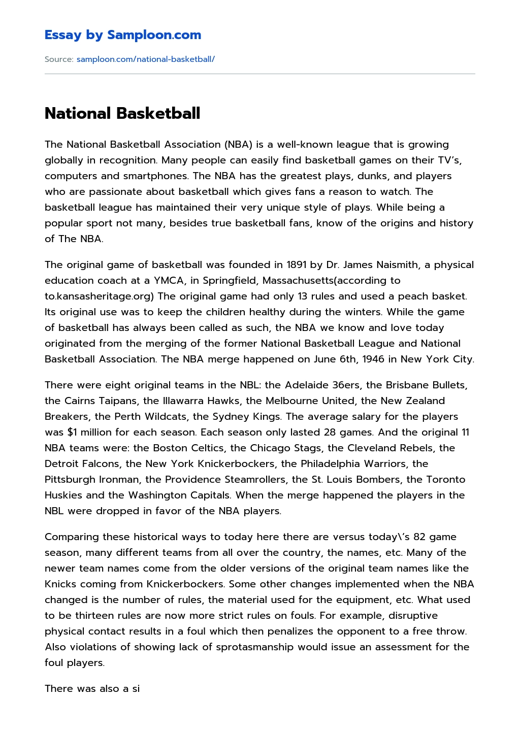 National Basketball essay