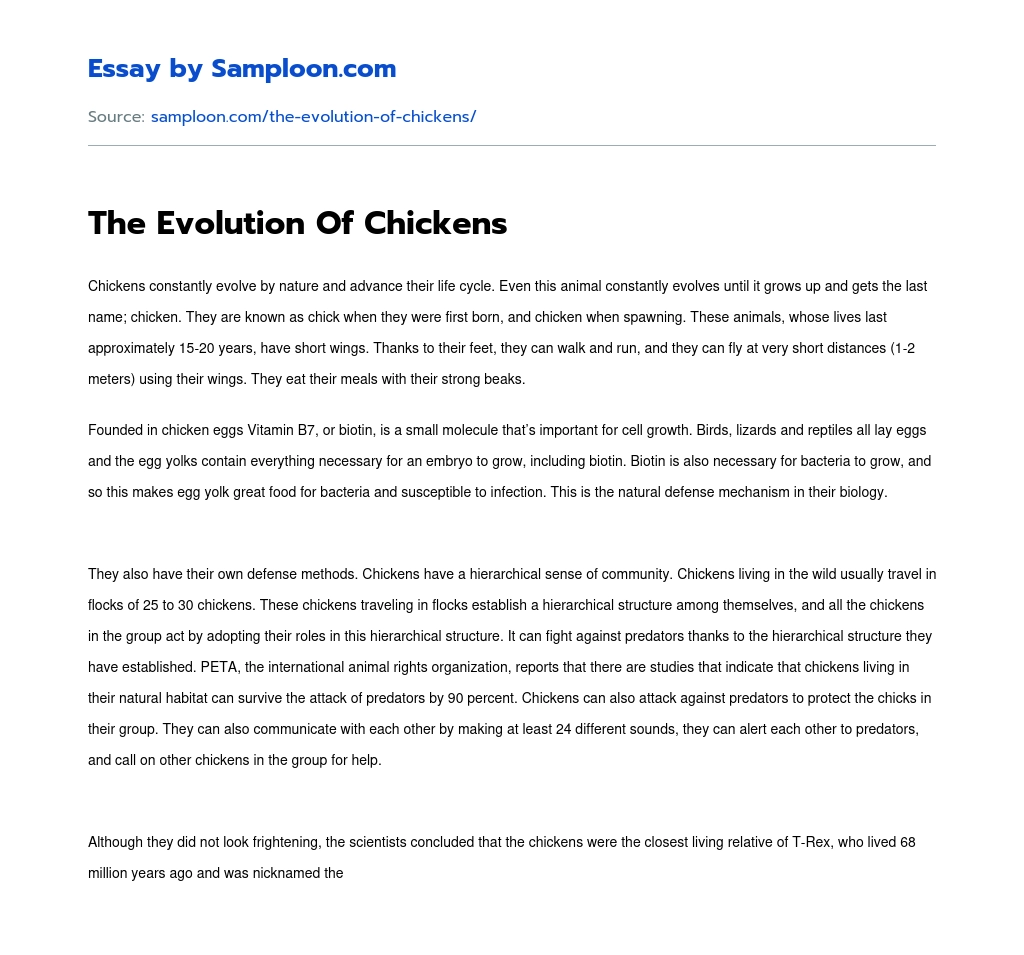 The Evolution Of Chickens essay