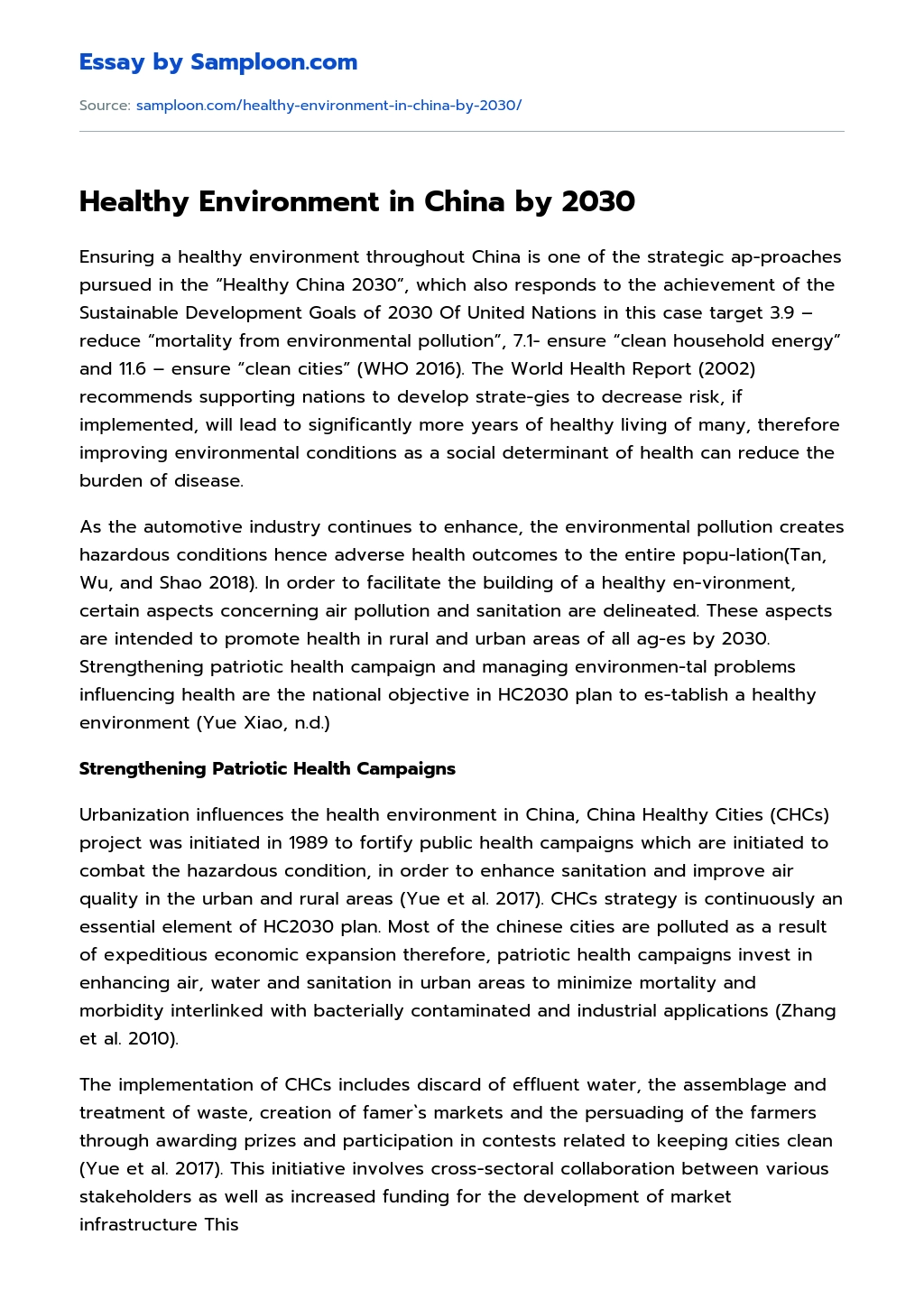 Healthy Environment in China by 2030 essay