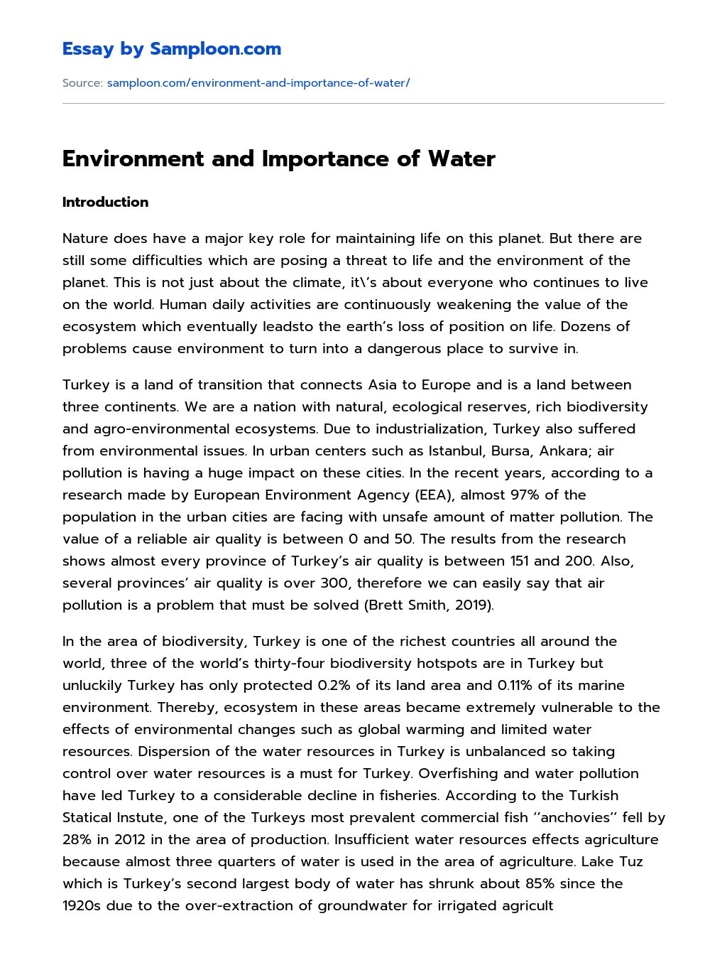 introduction of environment essay