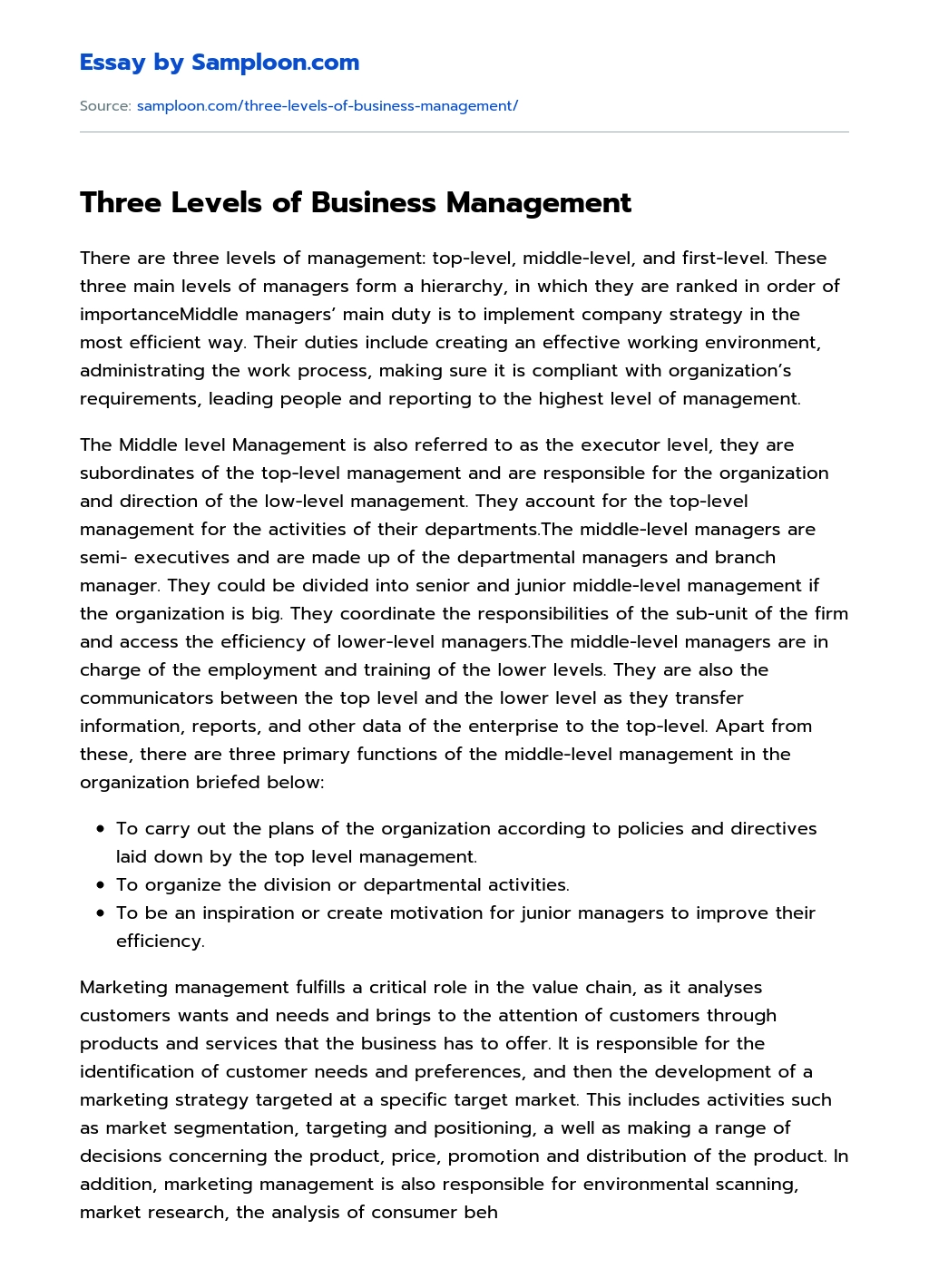 Three Levels of Business Management essay