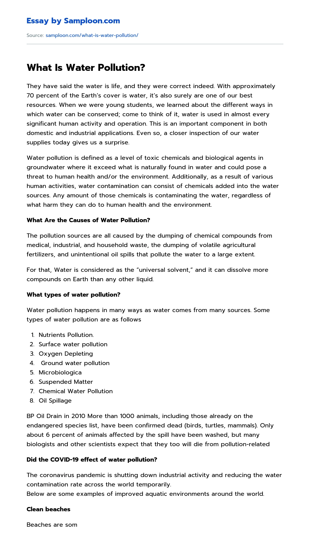 What Is Water Pollution? essay