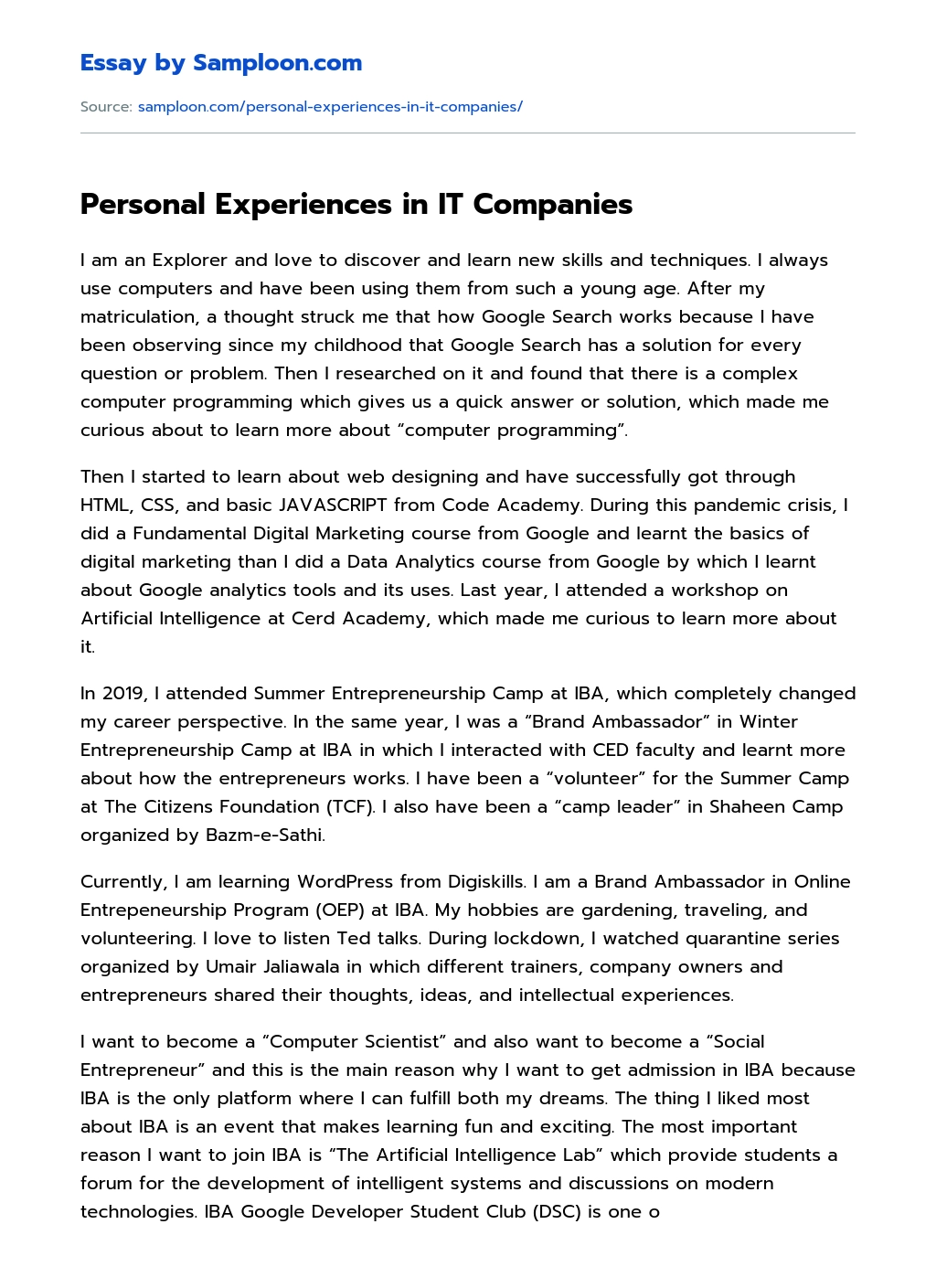Personal Experiences in IT Companies essay