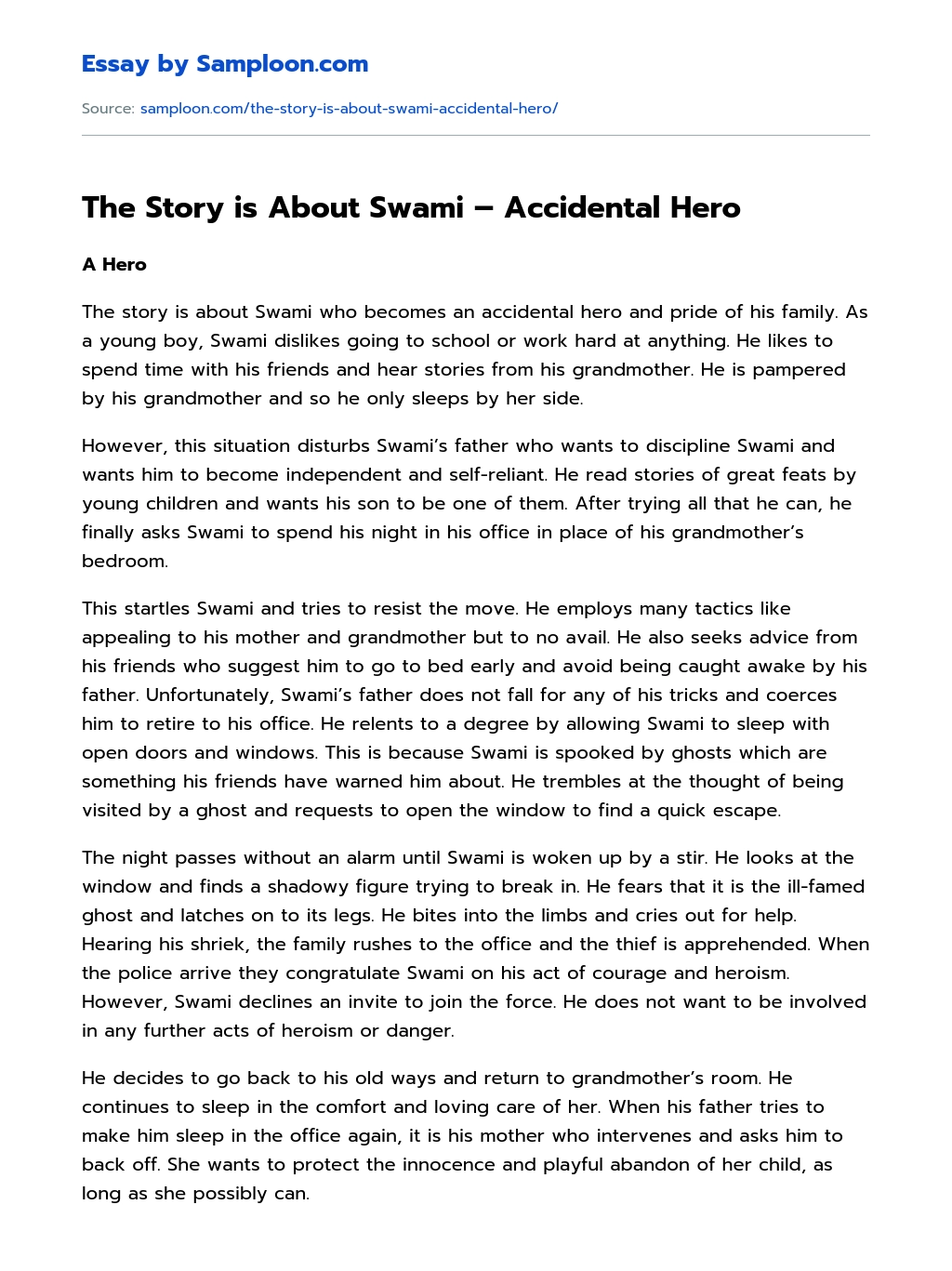 The Story is About Swami – Accidental Hero essay