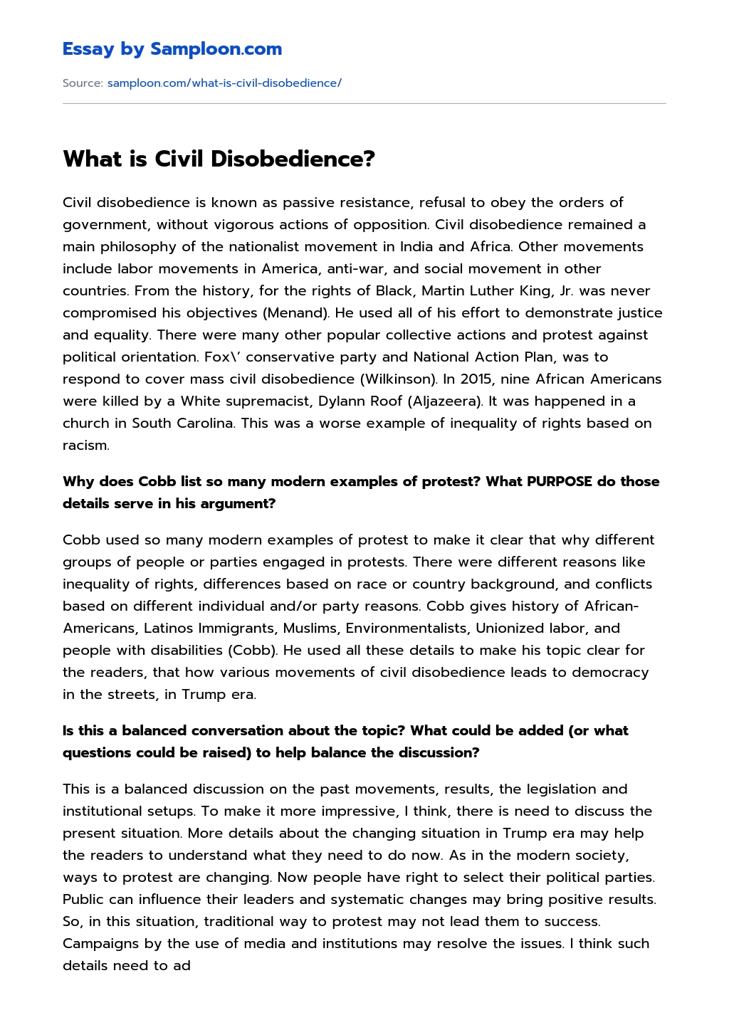 What is Civil Disobedience? essay