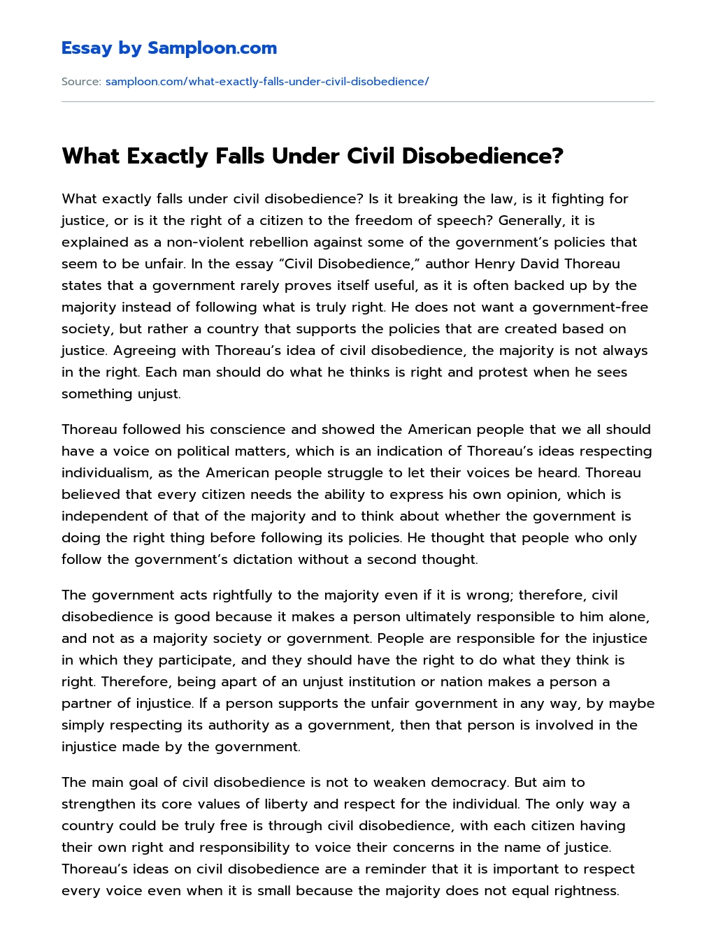 What Exactly Falls Under Civil Disobedience? essay
