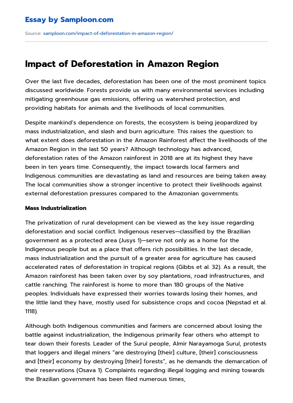 Impact of Deforestation in Amazon Region essay