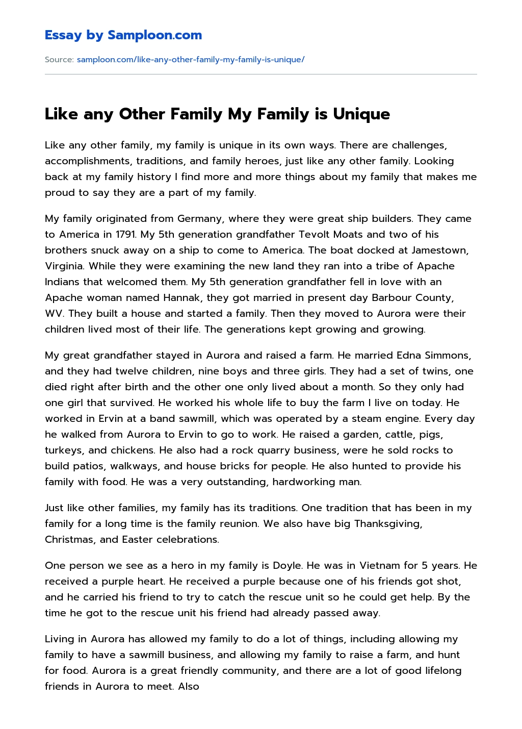 Like any Other Family My Family is Unique essay
