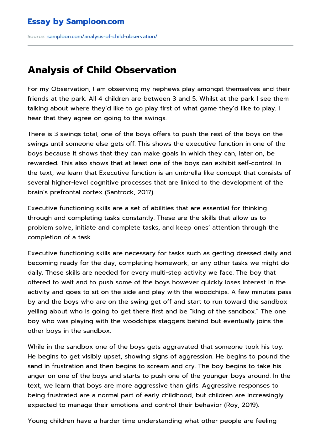 Analysis of Child Observation essay