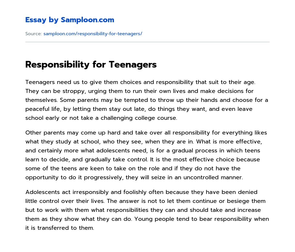 Responsibility for Teenagers essay