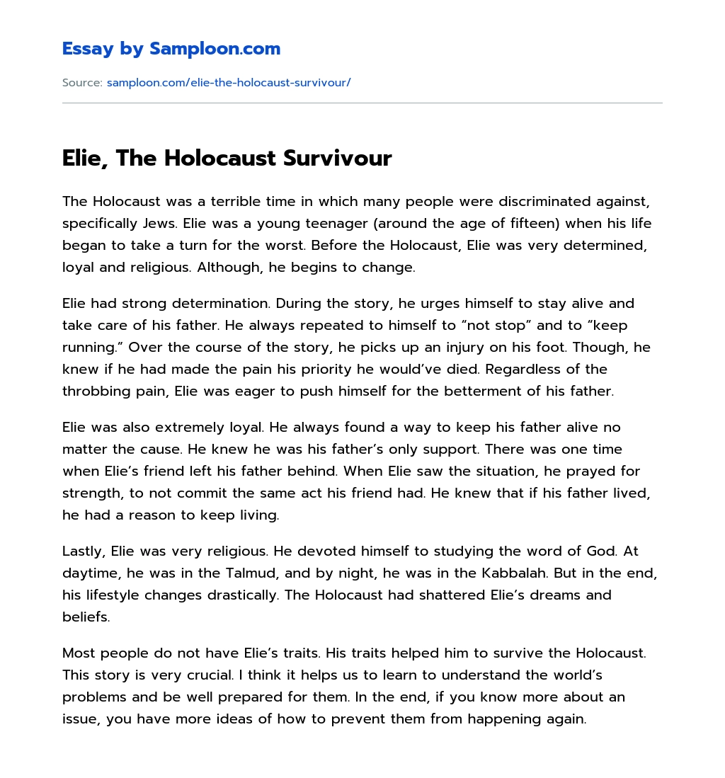 Elie, The Holocaust Survivour essay