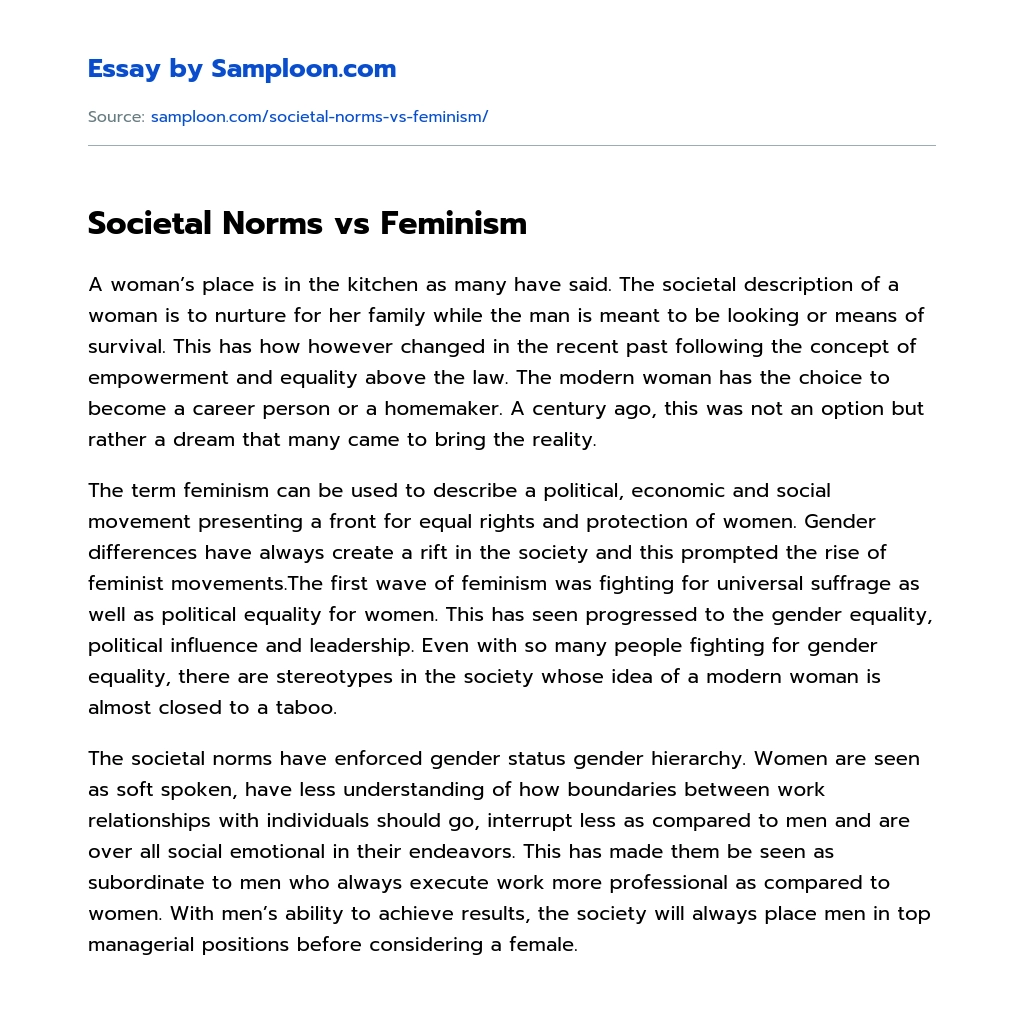 Societal Norms vs Feminism essay