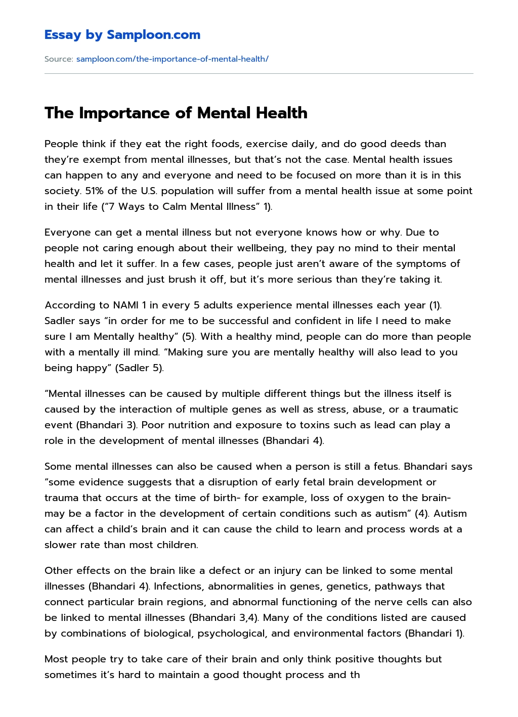 The Importance of Mental Health essay