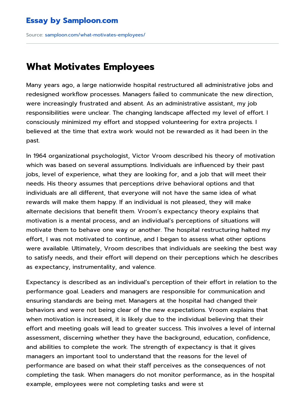 What Motivates Employees essay