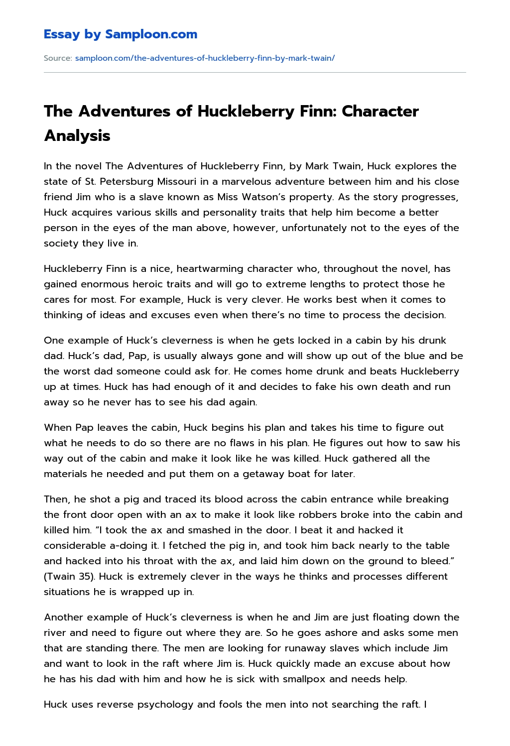 The Adventures of Huckleberry Finn: Character Analysis essay