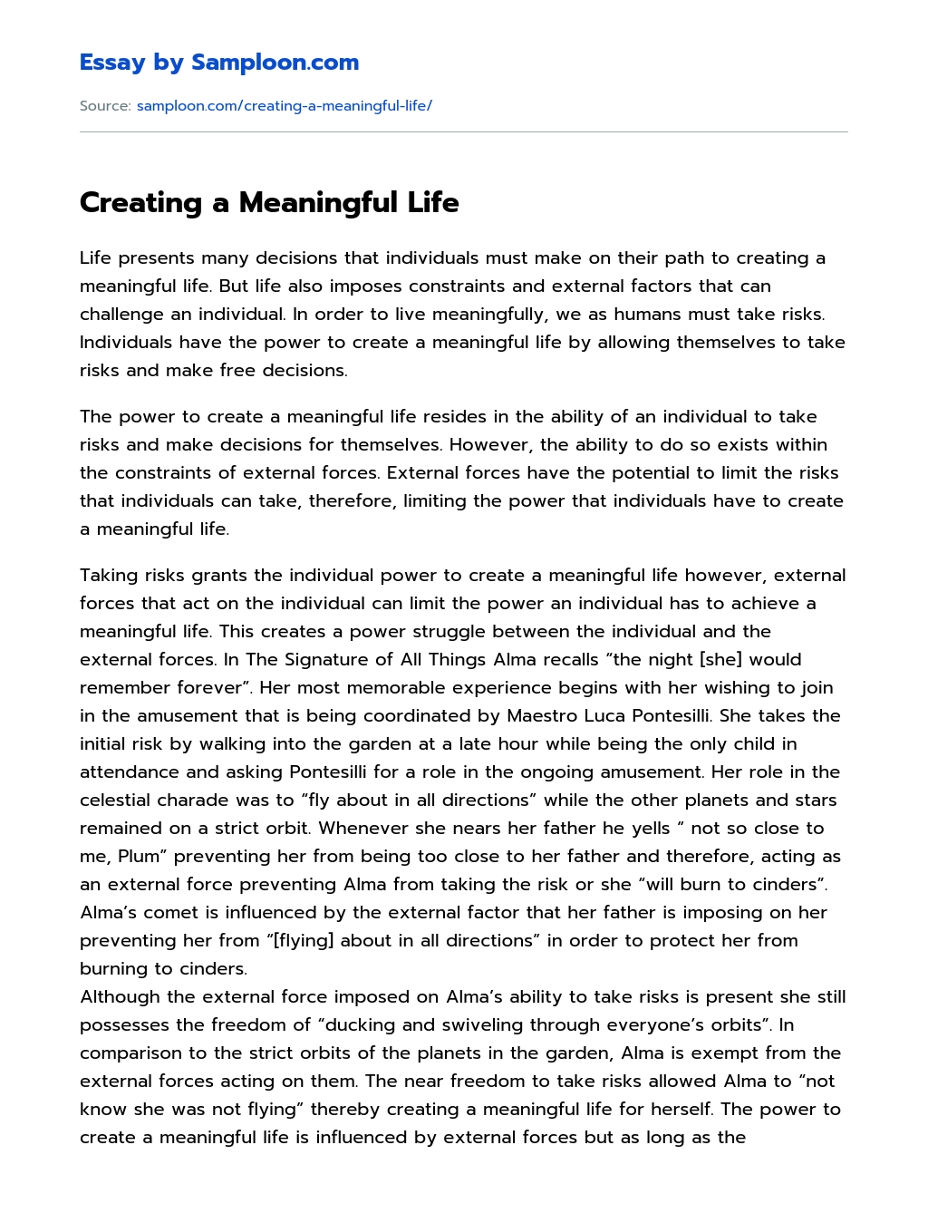 Creating a Meaningful Life essay