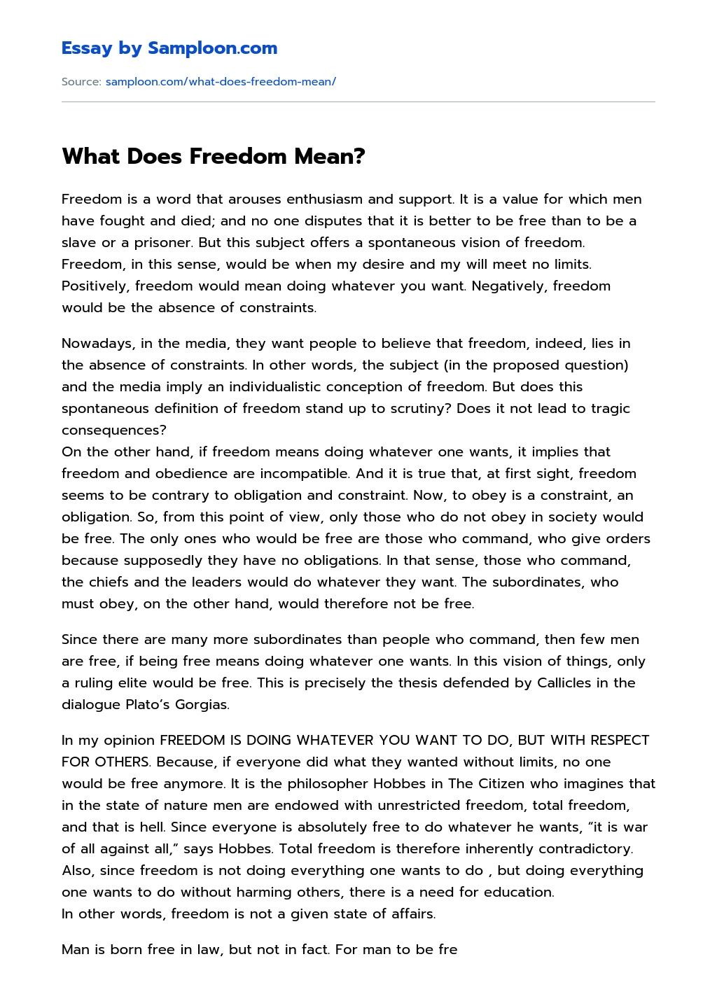 What Does Freedom Mean? essay