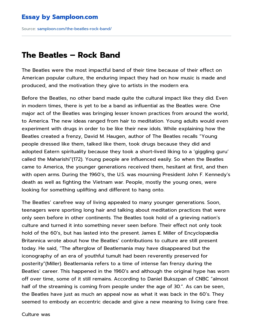 The Beatles – Rock Band essay