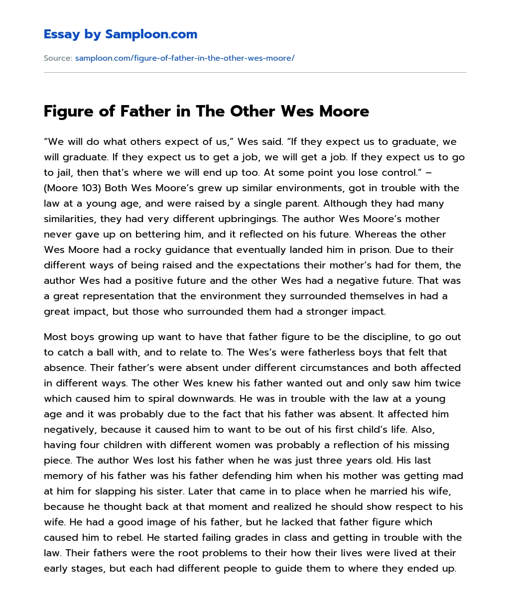 Figure of Father in The Other Wes Moore Compare And Contrast essay