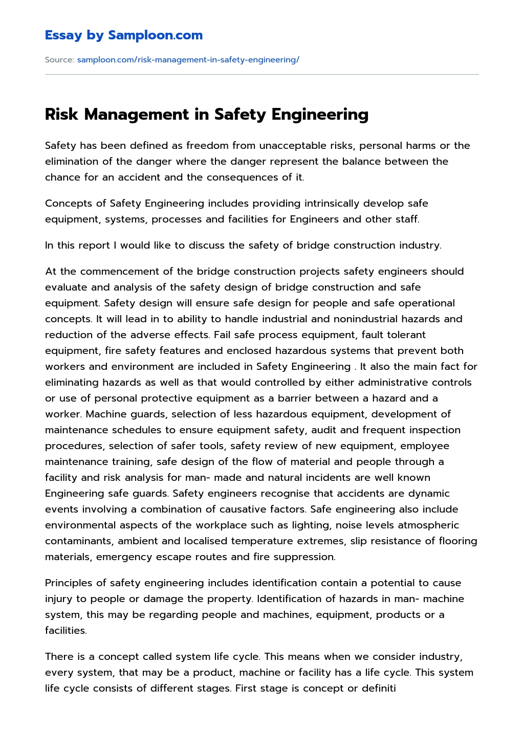 Risk Management in Safety Engineering essay