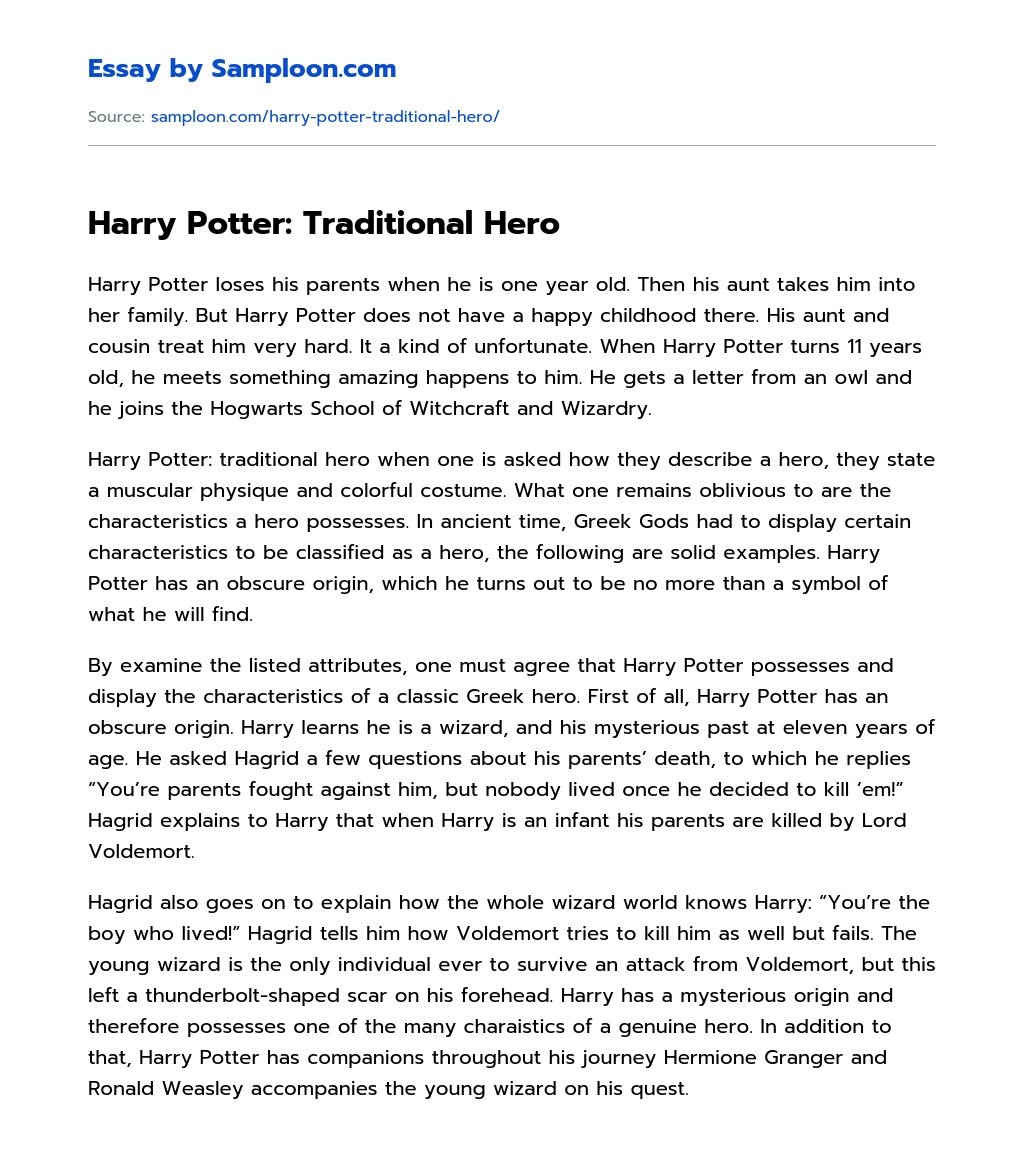 Harry Potter: Traditional Hero essay