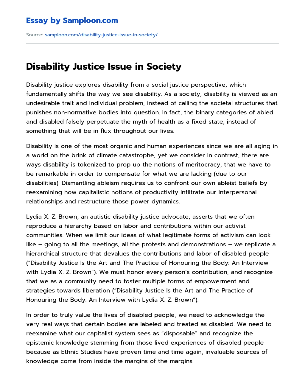 Disability Justice Issue in Society essay