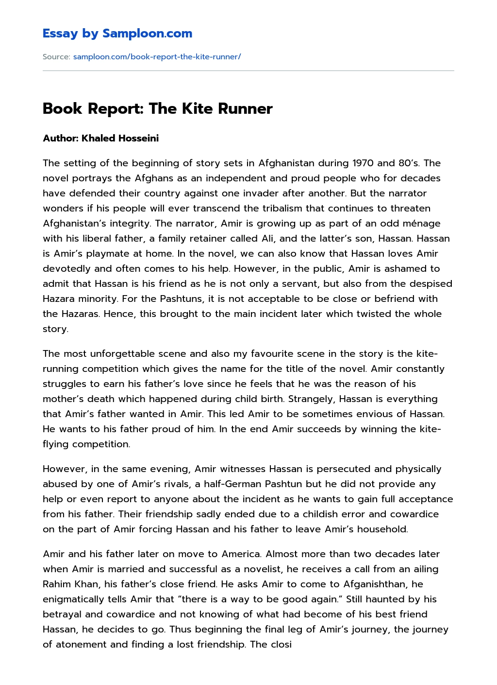 Book Report: The Kite Runner essay