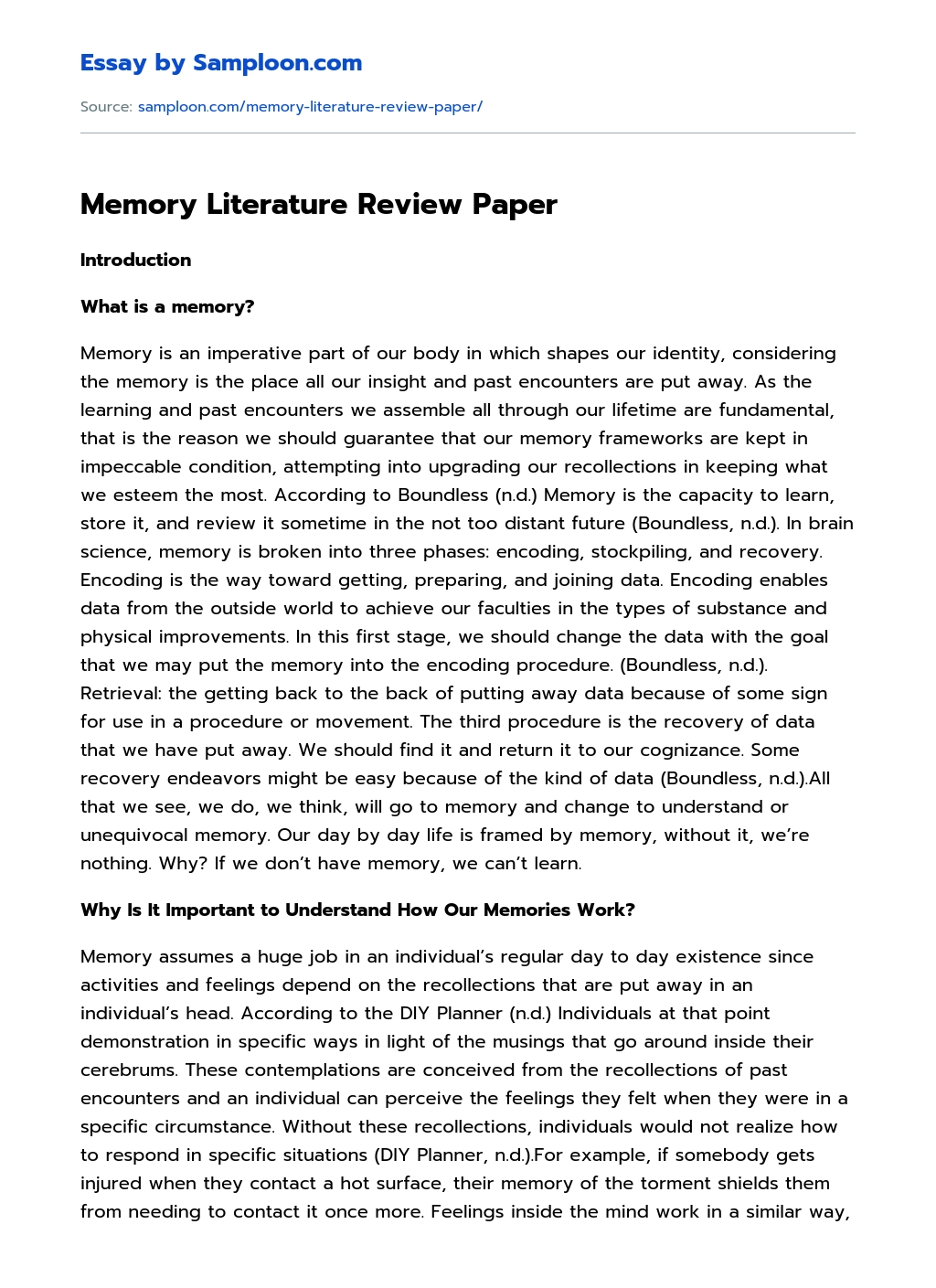 Memory Literature Review Paper essay