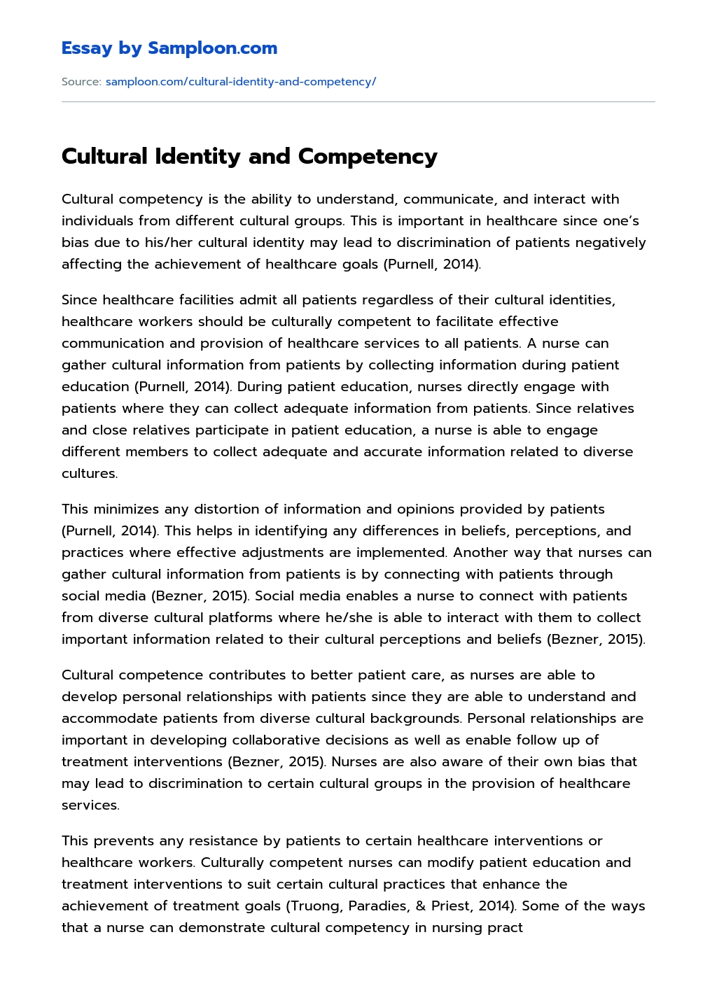 Cultural Identity and Competency essay