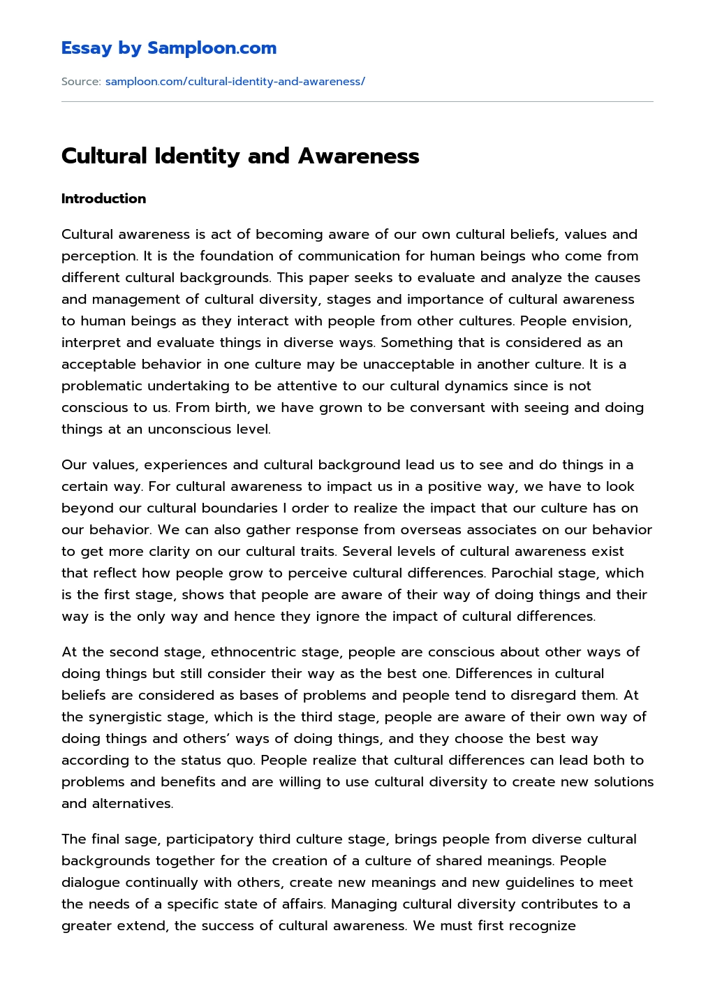 Cultural Identity and Awareness essay